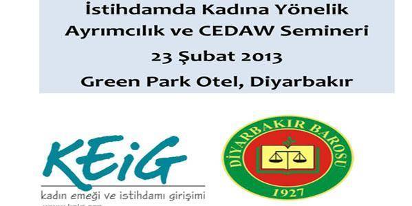 İstihdamda Kadına Yönelik Ayrımcılık ve CEDAW Semineri 23 Şubat 2013 Green Park Otel, Diyarbakır
